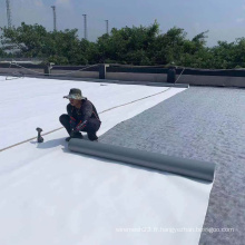 Vente chaude PVC Membrane imperméable pour toit plat